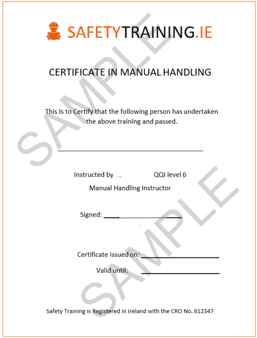 Manual handling course